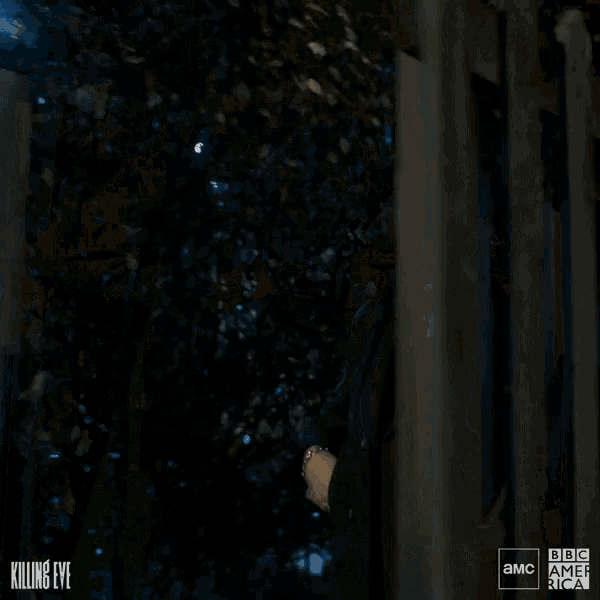 a woman is standing in front of a wooden fence with the words killing eye on the bottom right