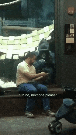 a man sits in front of a gorilla looking at his phone with a caption that says " eh no next one please "