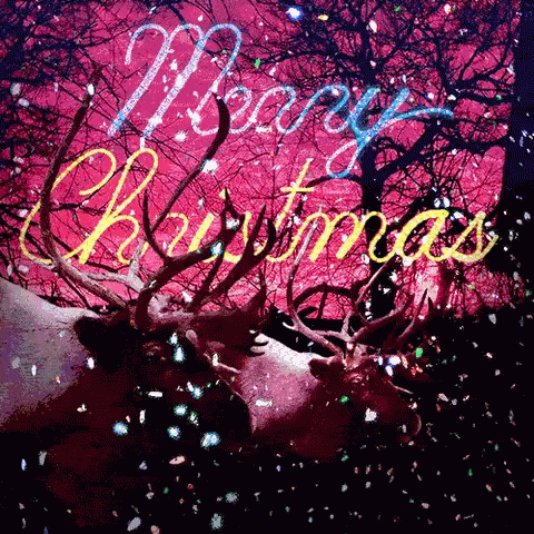 Christmas Eve Merry GIF - Christmas Eve Merry Reindeer GIFs
