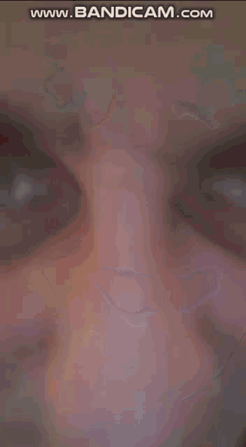 a close up of a person 's face with the website www.bandicam.com displayed