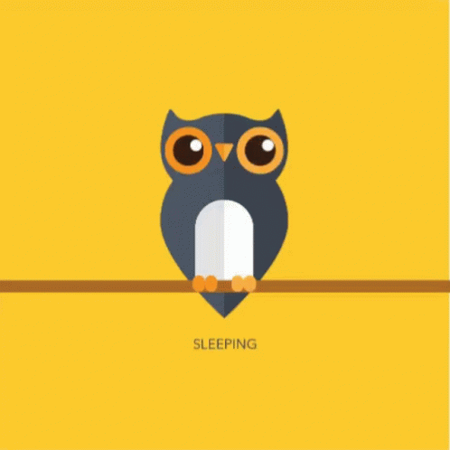 Owl Thinking GIF - Owl Thinking Sleeping GIFs