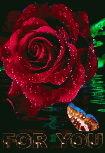 For You Rose GIF - For You Rose GIFs