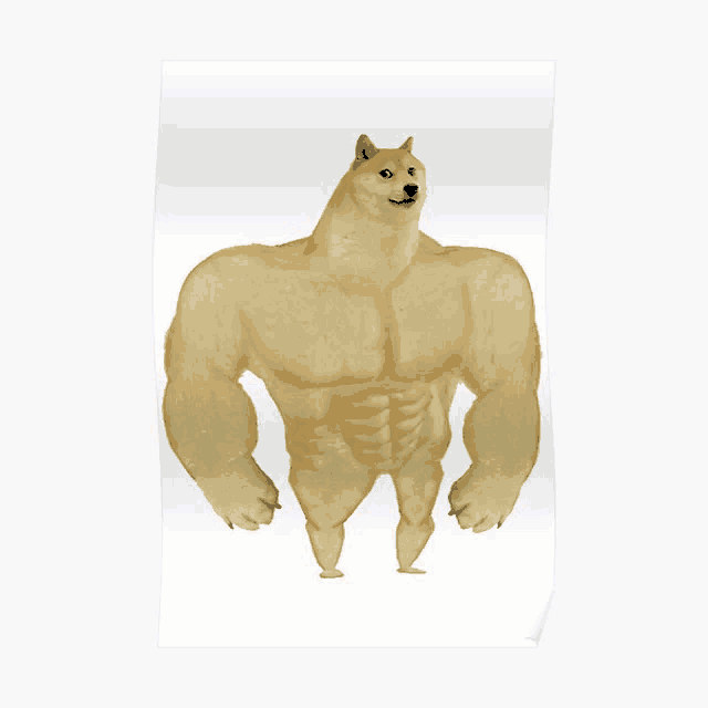a poster of a doge with muscles on its arms