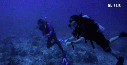 Snorkel Scuba Diving GIF - Snorkel Scuba Diving Ocean GIFs