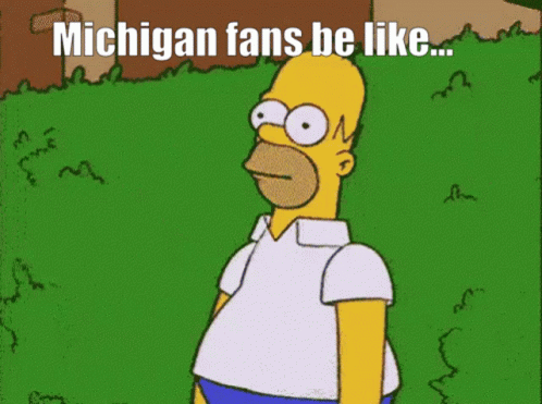 Michigan Football GIF - Michigan Football Fans GIFs