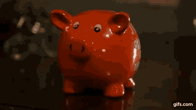Pig Zoom In GIF - Pig Zoom In Eyes GIFs