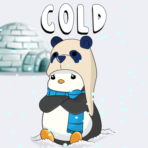 a cartoon penguin wearing a hat and scarf with the word cold above it