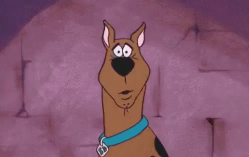 Où GIF - Scooby Doo Confused Huh GIFs