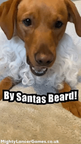 Mighty Lancer Mlgdog GIF - Mighty Lancer Mlgdog By Santas Beard GIFs