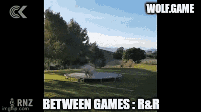 Wolf Game Chill GIF - Wolf Game Chill Wg GIFs