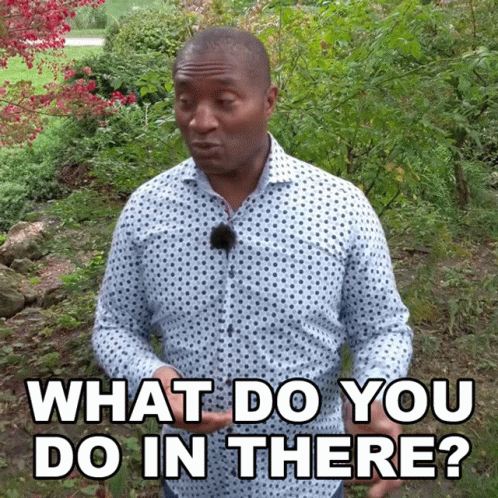 What Do You Do In There James GIF - What Do You Do In There James Engvid GIFs