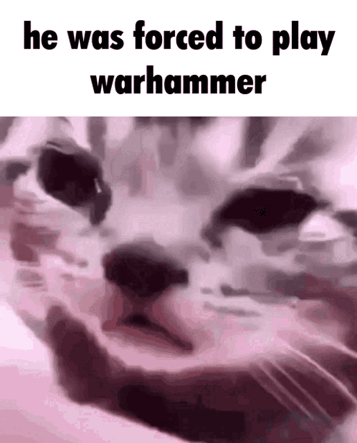 He Was Forced To Play Warhammer Forced GIF - He Was Forced To Play Warhammer Forced Warhammer GIFs