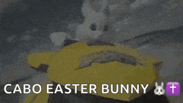 Easter Bunnies Bunny GIF - Easter Bunnies Bunny GIFs