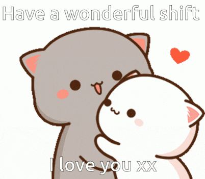 a cartoon of two cats hugging each other with the words have a wonderful shift i love you xx