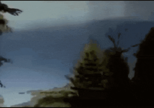 a blurry picture of a christmas tree with a blue sky in the background