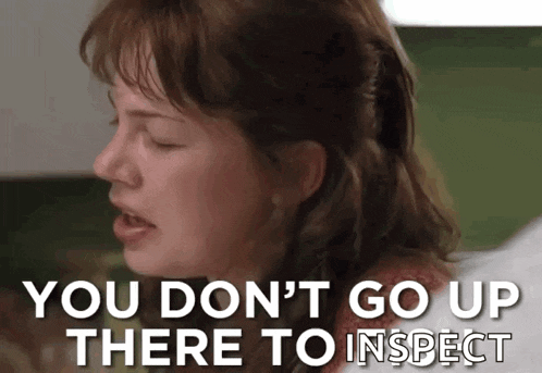a woman is saying you do n't go up there to inspect .