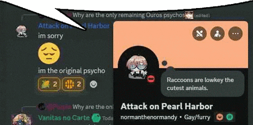 a screenshot of a discord server with a smiley face and a raccoon .