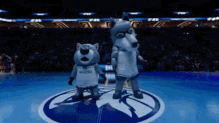 two wolves mascots stand on a basketball court in front of a crowd