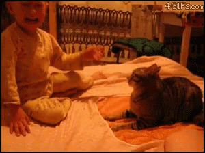 Instant Karma Angry Baby GIF - Instant Karma Angry Baby Cat GIFs