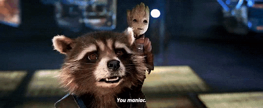 a raccoon holding a baby groot on its back and saying you maniac