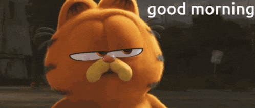 a picture of garfield with the words " good morning " on the bottom