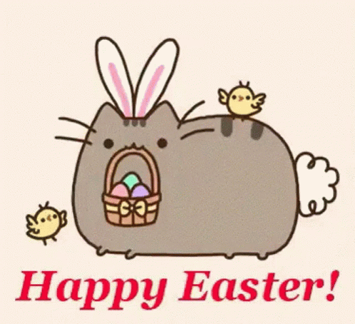 Easter Bunny GIF - Easter Bunny Cat GIFs