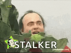 a man is holding a green leaf in his mouth and the word stalker is on the screen .