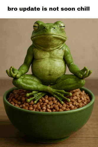 a frog sits in a lotus position on a bowl of beans