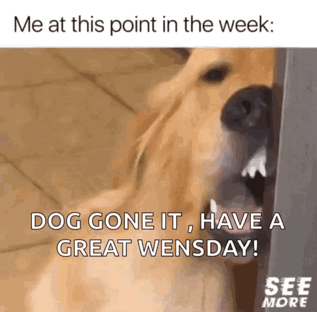 Omg Me At This Point GIF