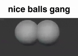 a black and white photo of two balls with the words `` nice balls gang '' written on it .
