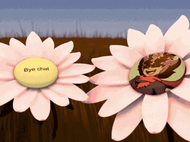 two pink daisies with a yellow center that says bye chat