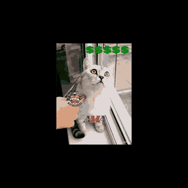 a cat sitting on a window sill with a tattoo that says awa motorcycles on it