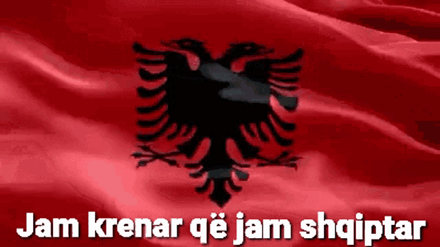 Shqiponja Albania GIF - Shqiponja Albania Krenar GIFs