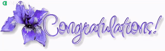 a purple flower with the words congratulations written below it