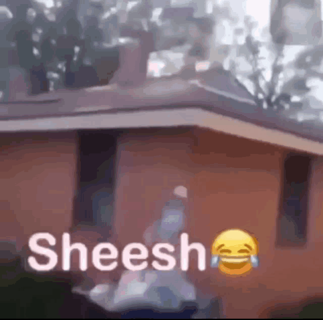 a person is standing on the roof of a house with a smiley face and the word sheesh .