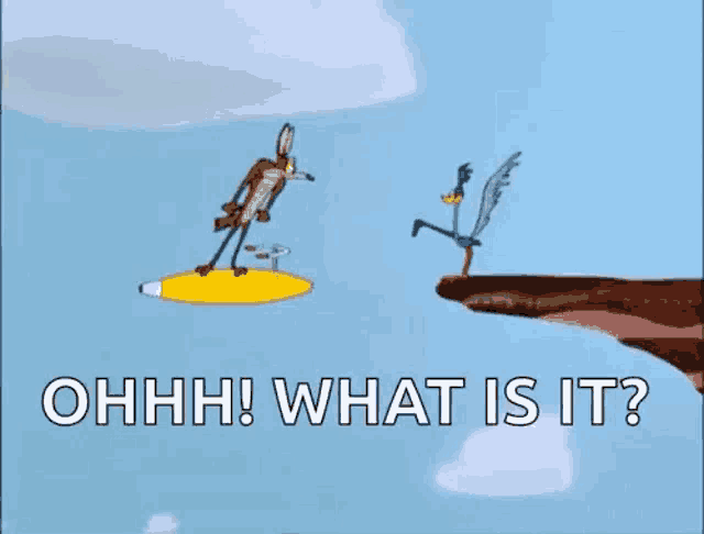 a cartoon of a coyote and a bird flying over a cliff with the words `` what is it '' .