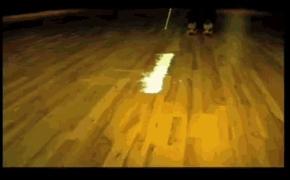 a person is standing on a wooden floor with a reflection of their feet