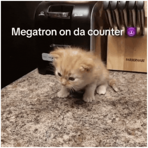 Megatron Megatron On Da Counter GIF - Megatron Megatron On Da Counter Megatron On The Counter GIFs