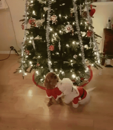 a dog in a santa suit looks at another dog in front of a christmas tree