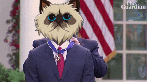 a man in a suit and tie with a cat on his face and the words the guardian on the bottom right