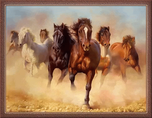 Mongol Horse GIF - Mongol Horse Horses GIFs