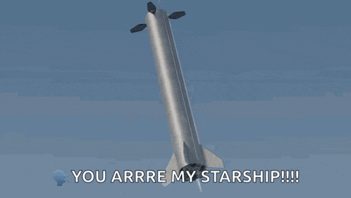 a rocket is flying in the sky with the words you arrre my starship