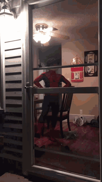 a person dressed in a spiderman costume stands in front of a screen door