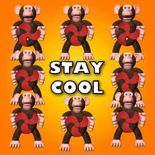 Stay Cool Stay Tight GIF - Stay Cool Stay Tight Stay Breezy GIFs