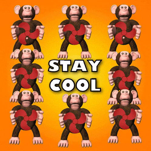 a poster with monkeys holding fans that says " stay cool "