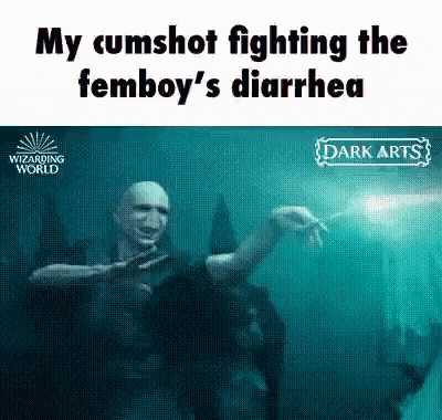 voldemort is fighting a woman with a wand in harry potter and the deathly hallows part ii .
