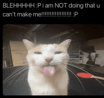 a cat sticking its tongue out with the caption blehhhh i am not doing that u can t make me