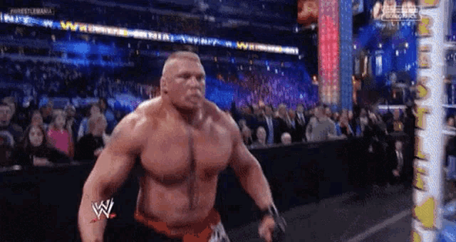 a wrestler is standing in front of a crowd while wearing a belt with the letter w on it .
