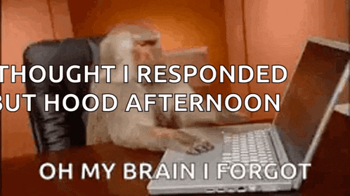 Monkey Frustrated GIF
