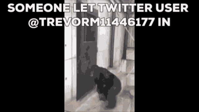 Monkey Trev346 GIF